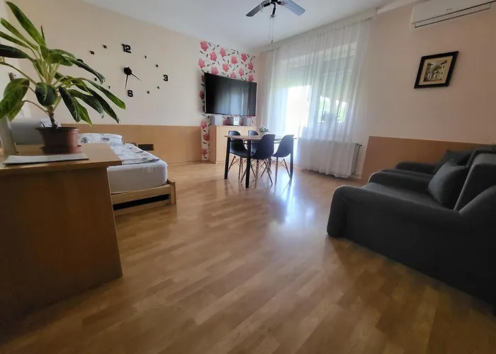 Apartment Jozsef Attila *