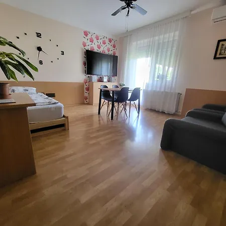Apartment Jozsef Attila *